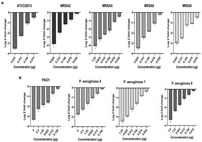 Antibiofilm effect of melittin alone and in combination with conventional antibiotics toward strong biofilm of MDR-MRSA and -Pseudomonas aeruginosa